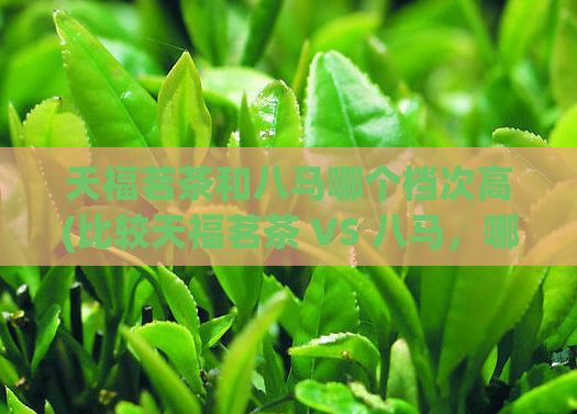 天福茗茶和八马哪个档次高(比较天福茗茶 VS 八马，哪个更高档？)