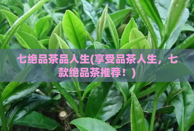 七绝品茶品人生(享受品茶人生，七款绝品茶推荐！)