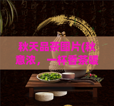 秋天品茶图片(秋意浓，一杯香茶暖心！)