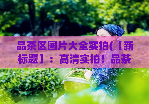 品茶区图片大全实拍(【新标题】:高清实拍!品茶区全景图片欣赏)