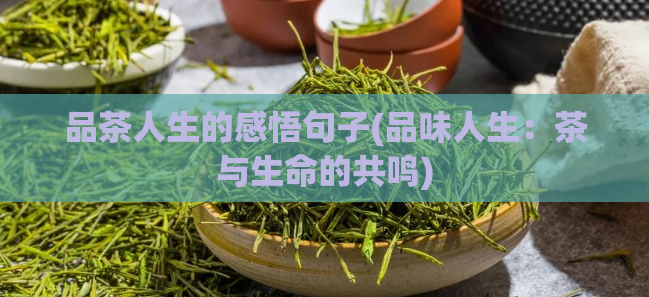 品茶人生的感悟句子(品味人生：茶与生命的共鸣)
