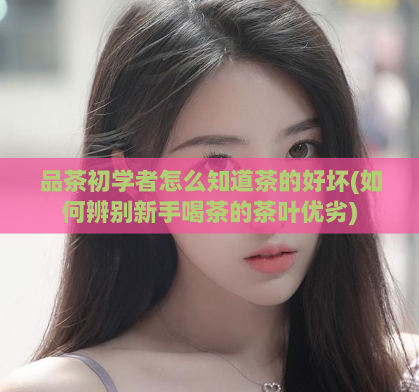 品茶初学者怎么知道茶的好坏(如何辨别新手喝茶的茶叶优劣)