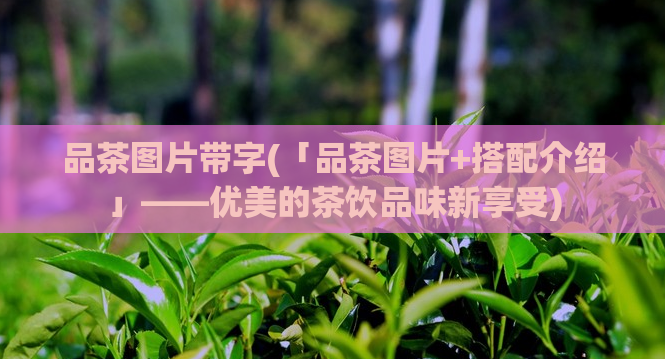 品茶图片带字(「品茶图片+搭配介绍」——优美的茶饮品味新享受)
