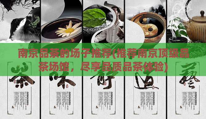 南京品茶的场子推荐(推荐南京顶级品茶场馆,尽享品质品茶体验)