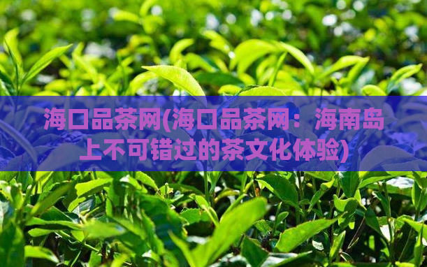 海口品茶网(海口品茶网:海南岛上不可错过的茶文化体验)