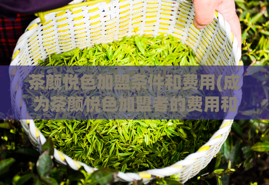 茶颜悦色加盟条件和费用(成为茶颜悦色加盟者的费用和条件是什么?)