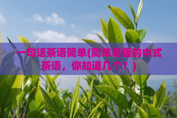 一句话茶语简单(简单易懂的中式茶语,你知道几个?)