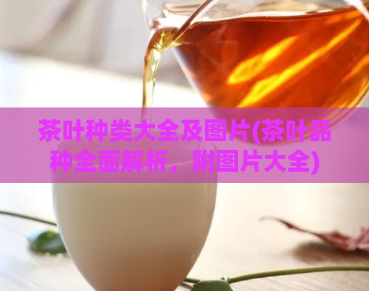 茶叶种类大全及图片(茶叶品种全面解析，附图片大全)