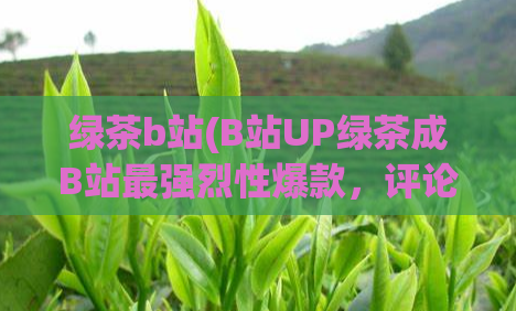 绿茶b站(B站UP绿茶成B站最强烈性爆款，评论区一片好评)