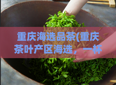 重庆海选品茶(重庆茶叶产区海选,一杯品香醇,品味人生。)