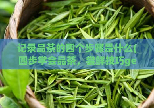 记录品茶的四个步骤是什么(四步学会品茶，尝鲜技巧get！)