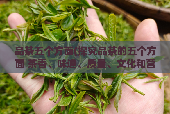 品茶五个方面(探究品茶的五个方面 茶香、味道、质量、文化和营养)