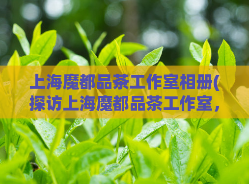 上海魔都品茶工作室相册(探访上海魔都品茶工作室，品味茶文化之美)
