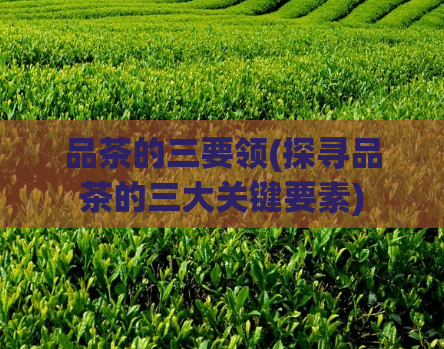 品茶的三要领(探寻品茶的三大关键要素)