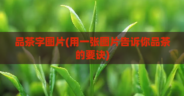 品茶字图片(用一张图片告诉你品茶的要诀)