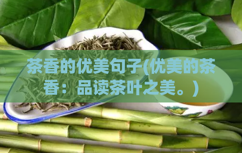 茶香的优美句子(优美的茶香：品读茶叶之美。)