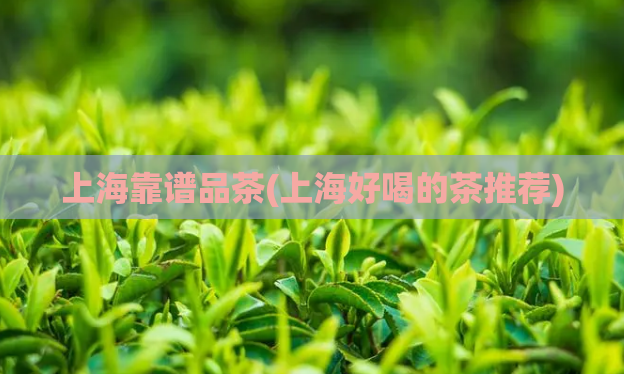 上海靠谱品茶(上海好喝的茶推荐)