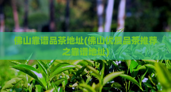 佛山靠谱品茶地址(佛山优质品茶推荐之靠谱地址)