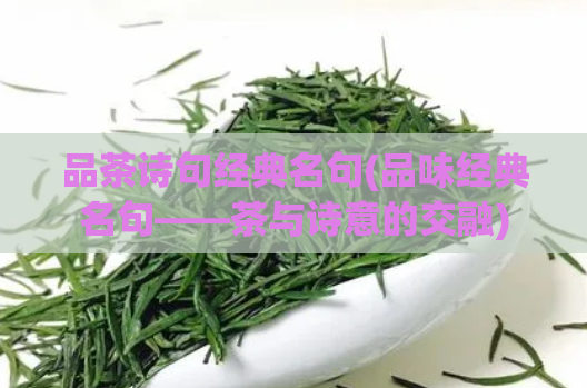 品茶诗句经典名句(品味经典名句——茶与诗意的交融)