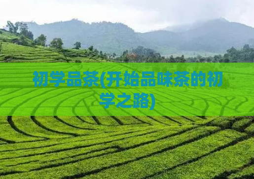 初学品茶(开始品味茶的初学之路)