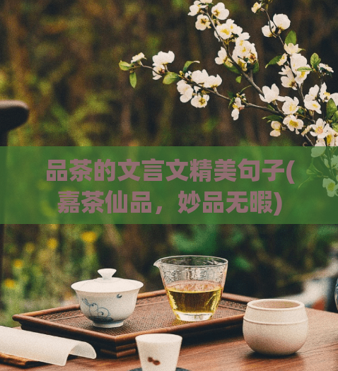 品茶的文言文精美句子(嘉茶仙品，妙品无暇)