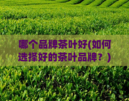 哪个品牌茶叶好(如何选择好的茶叶品牌？)