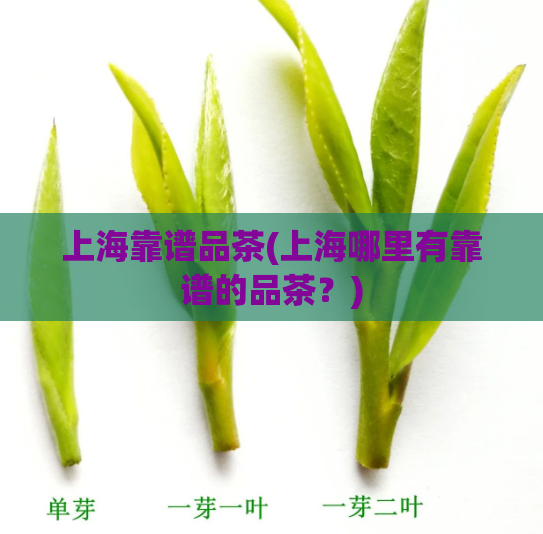上海靠谱品茶(上海哪里有靠谱的品茶？)