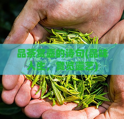品茶赏壶的诗句(品味人生，赏览壶艺)