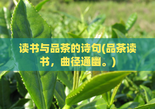 读书与品茶的诗句(品茶读书,曲径通幽。)