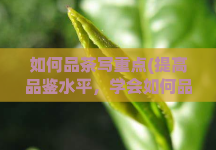 如何品茶写重点(提高品鉴水平,学会如何品味茶)