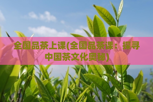 全国品茶上课(全国品茶课：探寻中国茶文化奥秘)