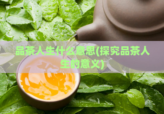 品茶人生什么意思(探究品茶人生的意义)