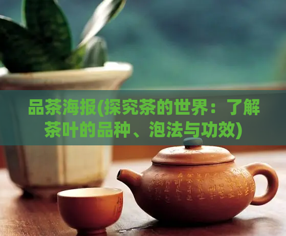 品茶海报(探究茶的世界：了解茶叶的品种、泡法与功效)
