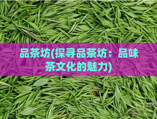 品茶坊(探寻品茶坊:品味茶文化的魅力)