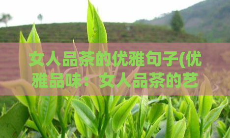 女人品茶的优雅句子(优雅品味:女人品茶的艺术)