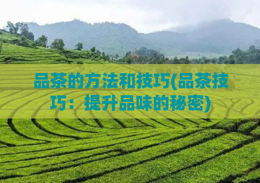 品茶的方法和技巧(品茶技巧:提升品味的秘密)