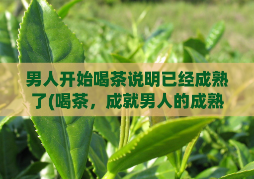 男人开始喝茶说明已经成熟了(喝茶,成就男人的成熟。)