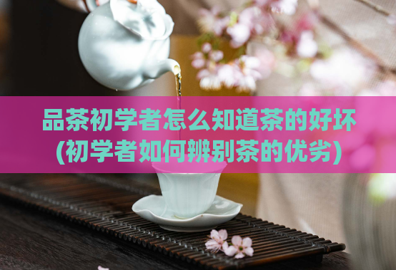 品茶初学者怎么知道茶的好坏(初学者如何辨别茶的优劣)
