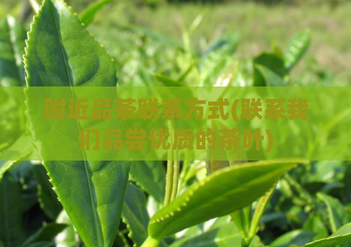 附近品茶联系方式(联系我们品尝优质的茶叶)