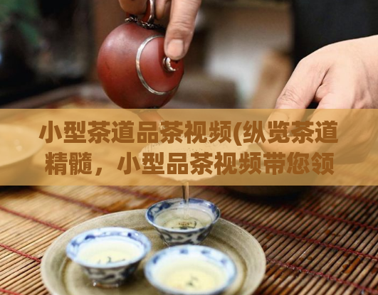 小型茶道品茶视频(纵览茶道精髓,小型品茶视频带您领略)