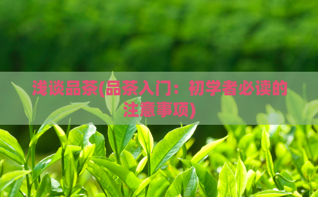 浅谈品茶(品茶入门:初学者必读的注意事项)