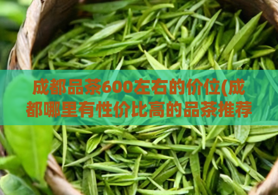 成都品茶600左右的价位(成都哪里有性价比高的品茶推荐？)