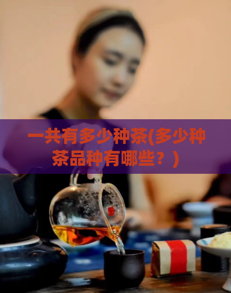 一共有多少种茶(多少种茶品种有哪些？)