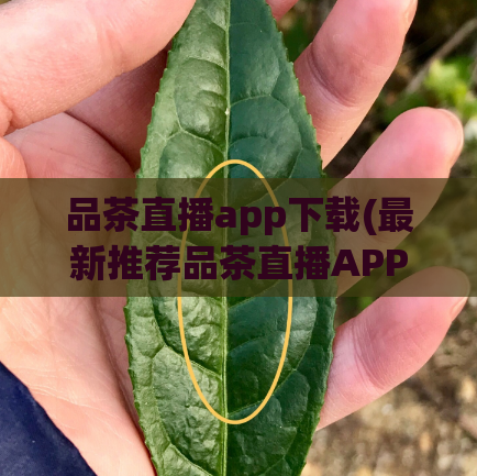 品茶直播app下载(最新推荐品茶直播APP,让你开启高清直播体验!)