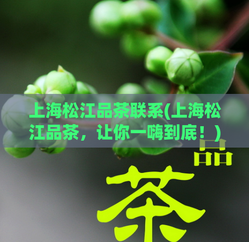 上海松江品茶联系(上海松江品茶,让你一嗨到底!)