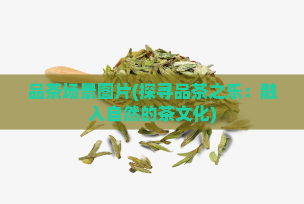 品茶场景图片(探寻品茶之乐:融入自然的茶文化)