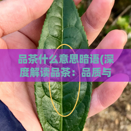 品茶什么意思暗语(深度解读品茶：品质与文化的体验)