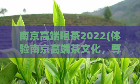 南京高端喝茶2022(体验南京高端茶文化,尊享精致品茶之旅)