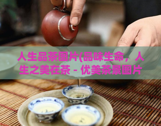 人生品茶图片(品味生命,人生之美在茶 - 优美茶景图片欣赏)