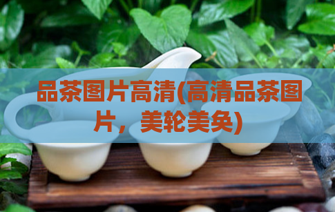 品茶图片高清(高清品茶图片，美轮美奂)